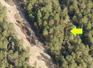 115 Webhill Ave, Inverness, FL 34452