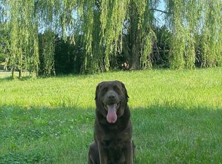 4141 S Lee Hwy, Natural Bridge, VA 24578