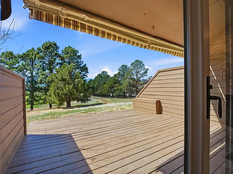 3710 Camels Ridge Ln — Photo 23