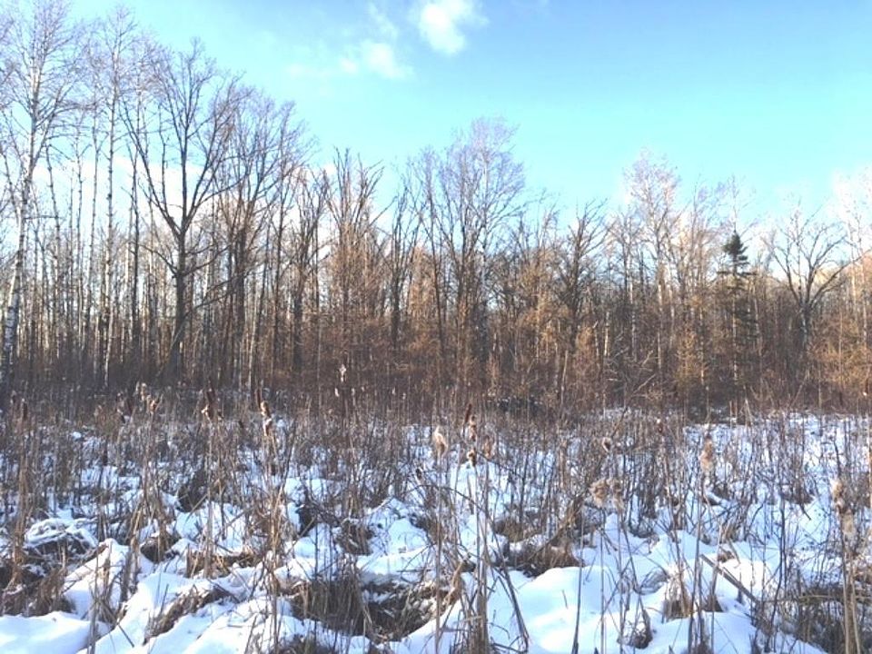 1st image of Wxyz Waletzko Norman Twp