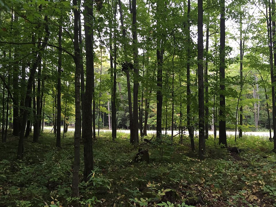 1st image of Skrzypchak Ln Lot 2