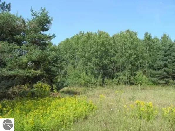 0 M 55, Cadillac, MI 49601