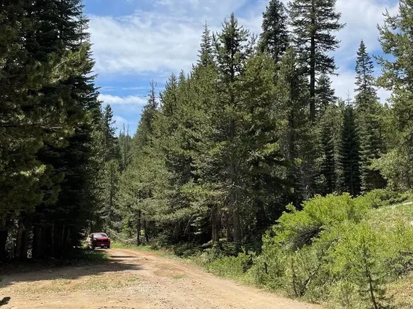 73 Prather Meadow Rd, Arnold, CA 95223