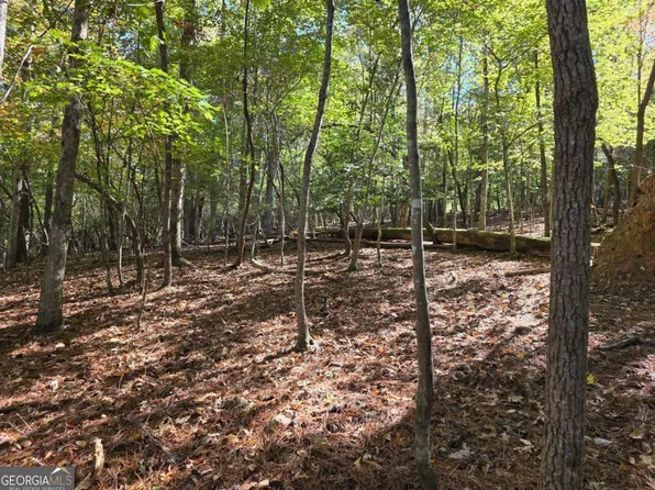 LOT 385 Zenith Trl, Ellijay, GA 30540
