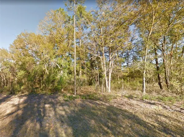000 NE 83RD LANE, BRONSON, FL 32621