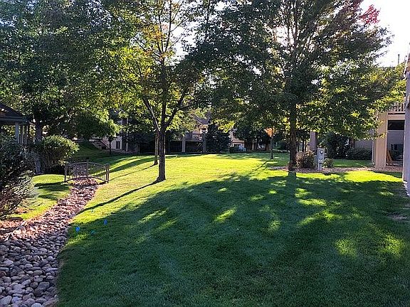 Open space in back yard