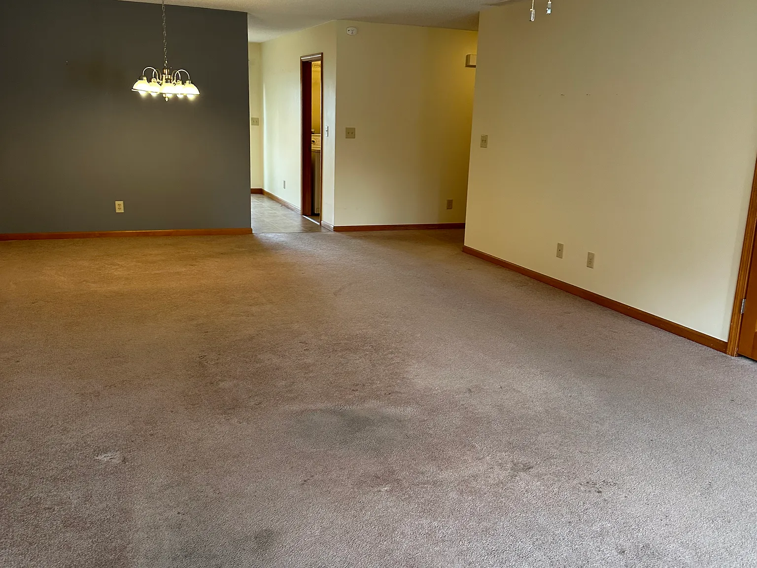 2 bed, 1400 sqft, $1,900 — Photo 3