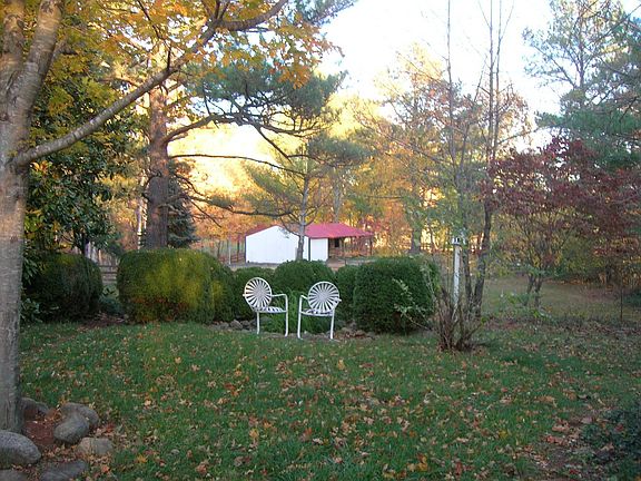 backyard (small pond)