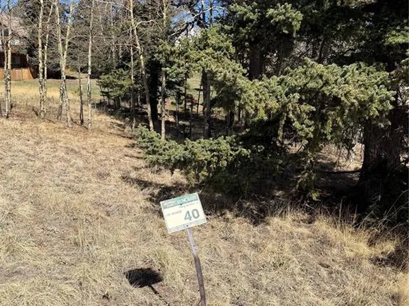 405 Meadow Park Dr, Divide, CO 80814