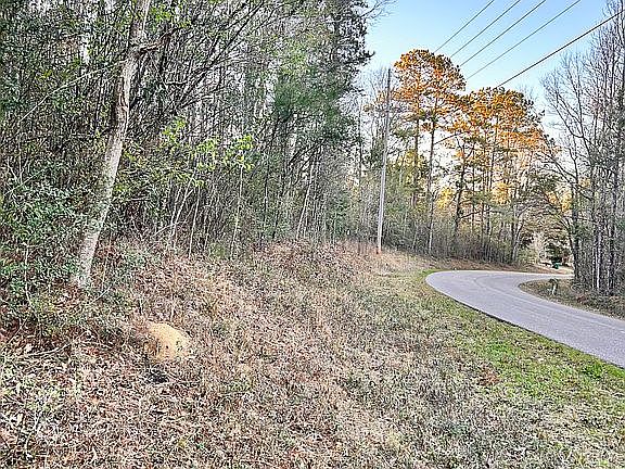 2nd image of 365 Burgetown Rd