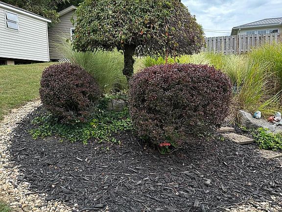 3rd image of 292 Clearview Dr