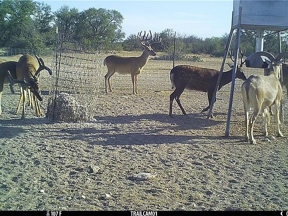 4th image of 14420 E Highway 190
