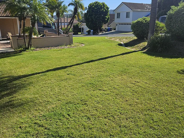 Front yard facing south