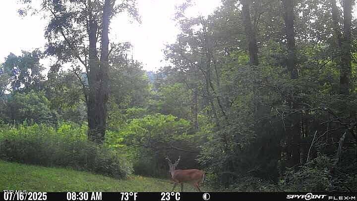 100th image of this home