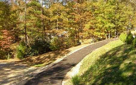 2nd image of 419 Fern Valley Ln