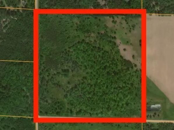 V/l 40a Sedlar Rd, Kaleva, MI 49645