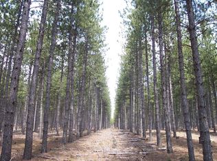 Keri Ln, Lewiston, MI 49756