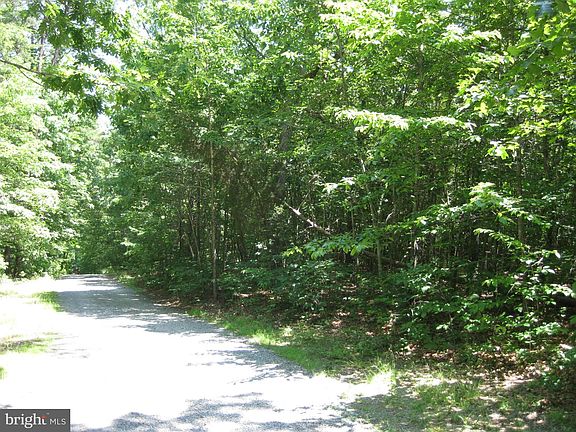 4th image of 4669 Halls Dr