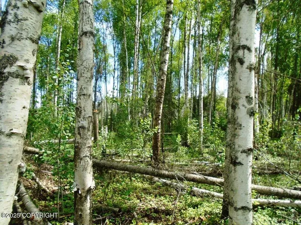 Mile 72, Willow, AK 99688