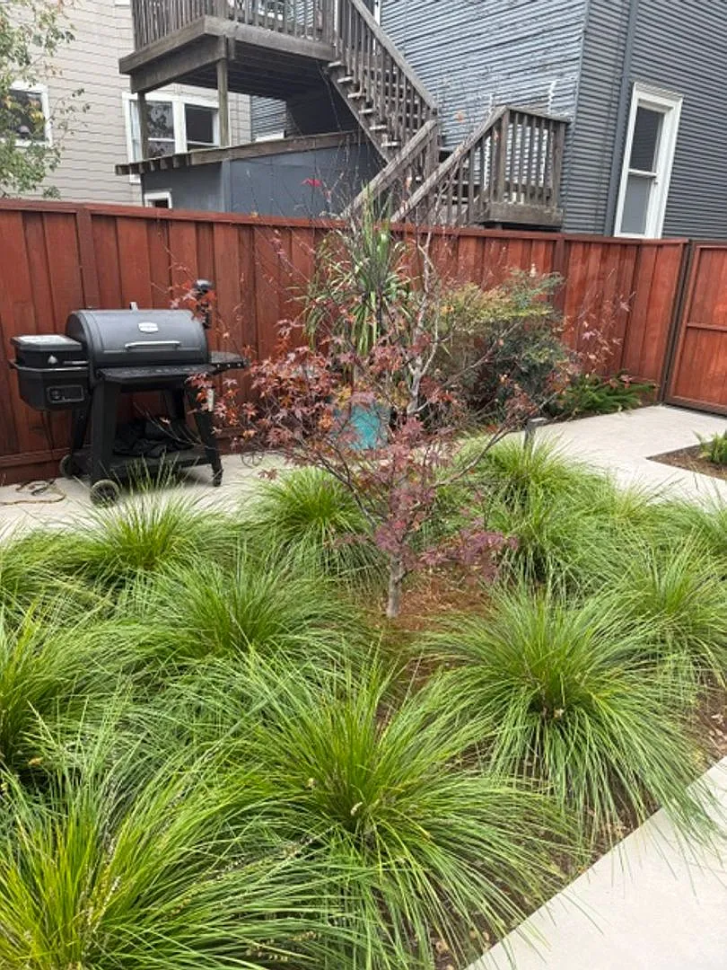 Magnolia - East — Photo 4