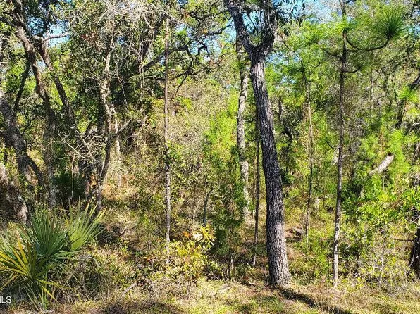 LOT 56 Michigan Ave, Brooksville, FL 34613