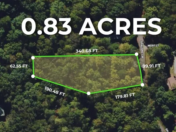 1194 Spaulding Cir, Ellijay, GA 30540