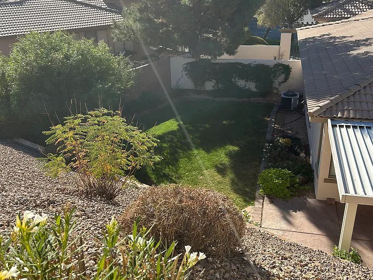 Backyard view from above