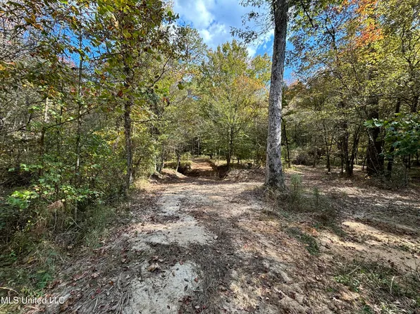 Shillings Rd, Roxie, MS 39661