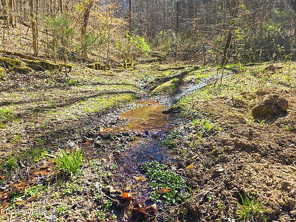 4th image of 515 Robinson Rd