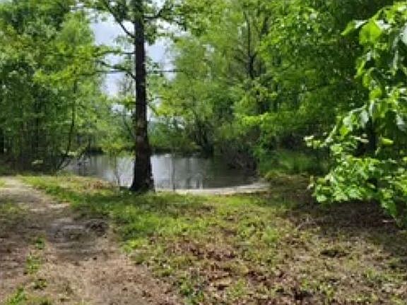 3rd image of 20 Jimmy Creek Rd