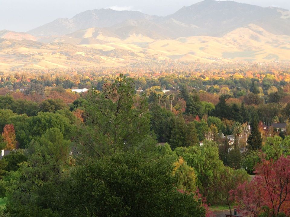 Mt. Diablo Views