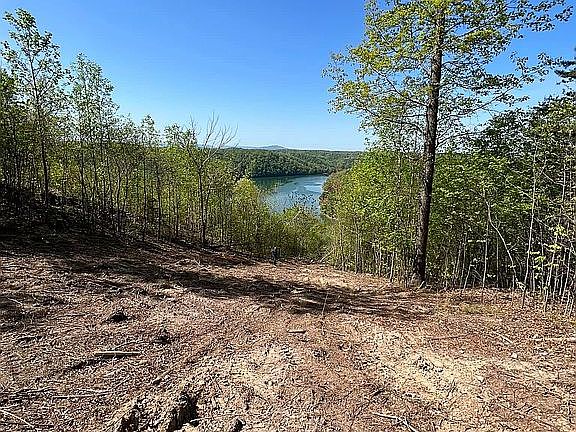 5th image of 2040 Scenic View Ct