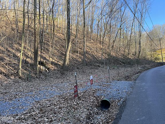 5th image of 1 Indian Gap Rd Lot 1