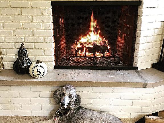 Wood Burning fireplace