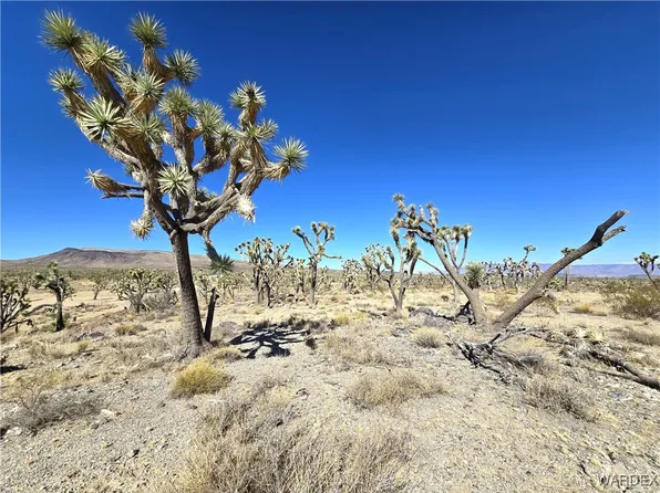 0 N Merry Dr, Dolan Springs, AZ 86441