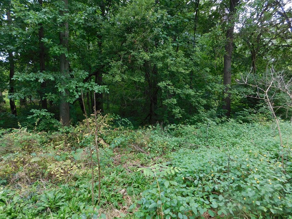 2nd image of Christiana Lake Rd