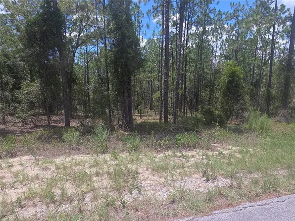 LOT 34 SE 128th Ave Lot 34, Dunnellon, FL 34431
