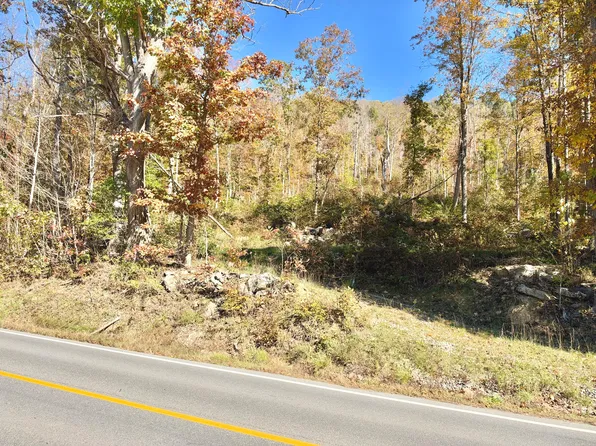 Route 20 Richwood Rd, Richwood, WV 26261