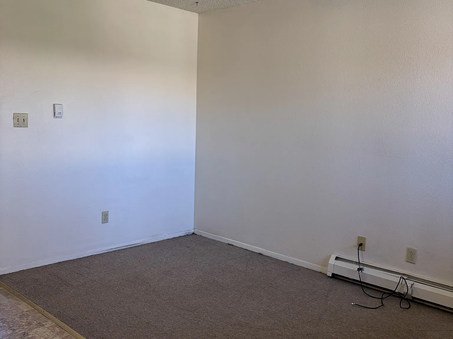 1101 Downey Street - 3 — Photo 4