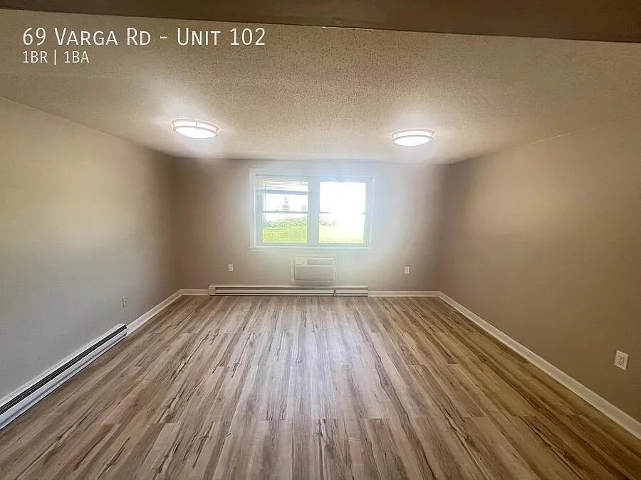 1 bed, 555 sqft, $1,350 — Photo 3