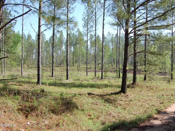 0 Watson Rd E Tract 8, Forsyth, GA 31029