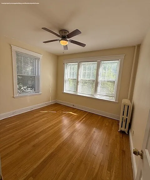 41 Wendell St #24 — Photo 4