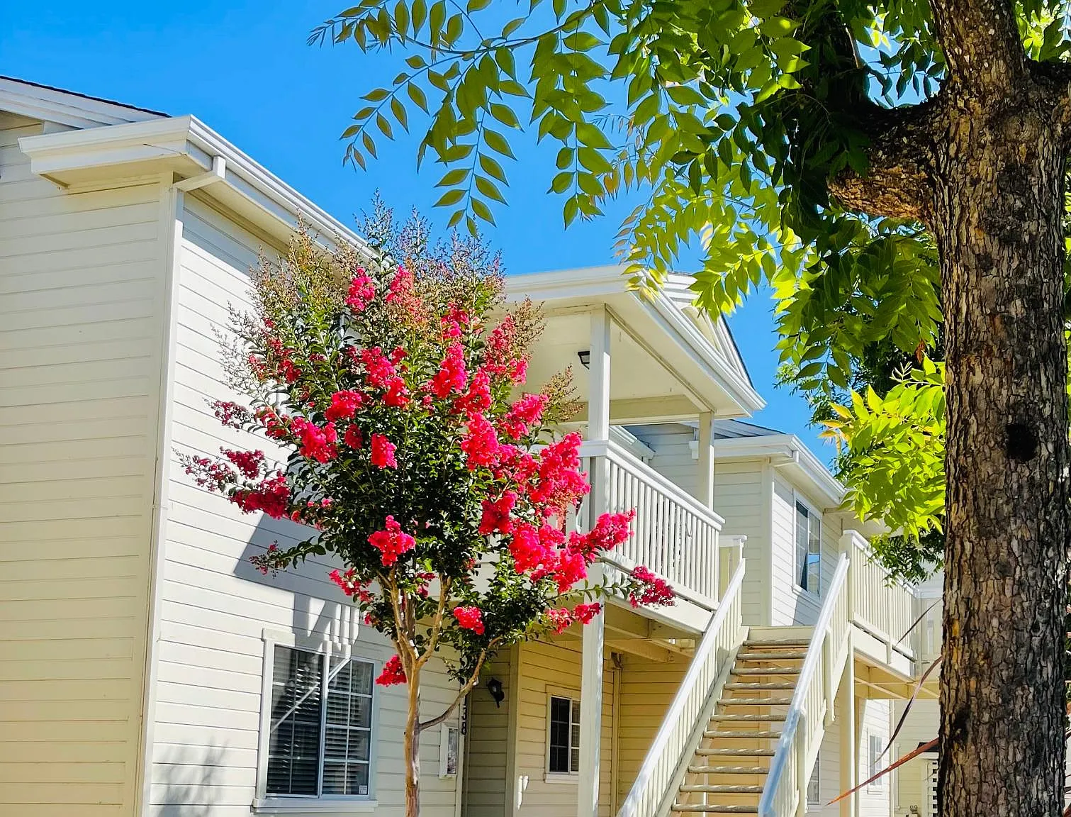 Sonoma Point Apartments — Photo 2