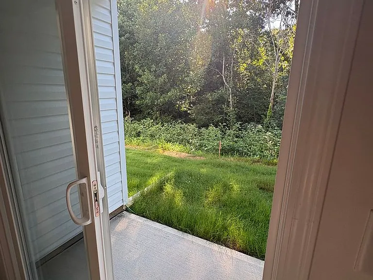 19 Napier Ct — Photo 29