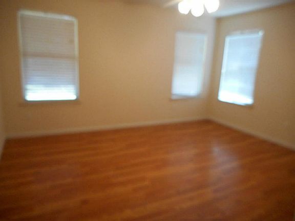 4th image of 11803 Tierra Palms Ct