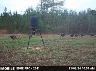 Jewell Dr, McComb, MS 39648