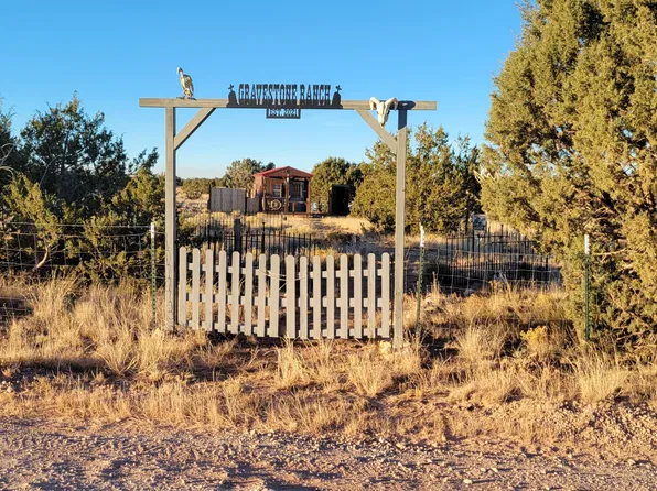 54043 N Via De Oro Pkwy, Seligman, AZ 86337