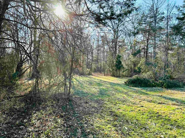 Summer Meadows Dr, Mountain View, AR 72560