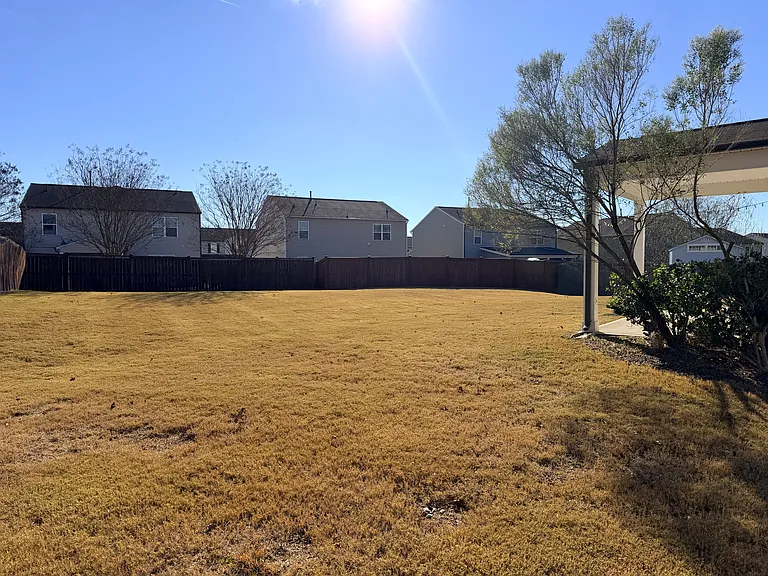 Back Yard