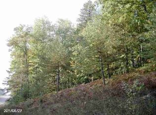 0 N Old 131 & 41 Rd #1/2, Cadillac, MI 49601